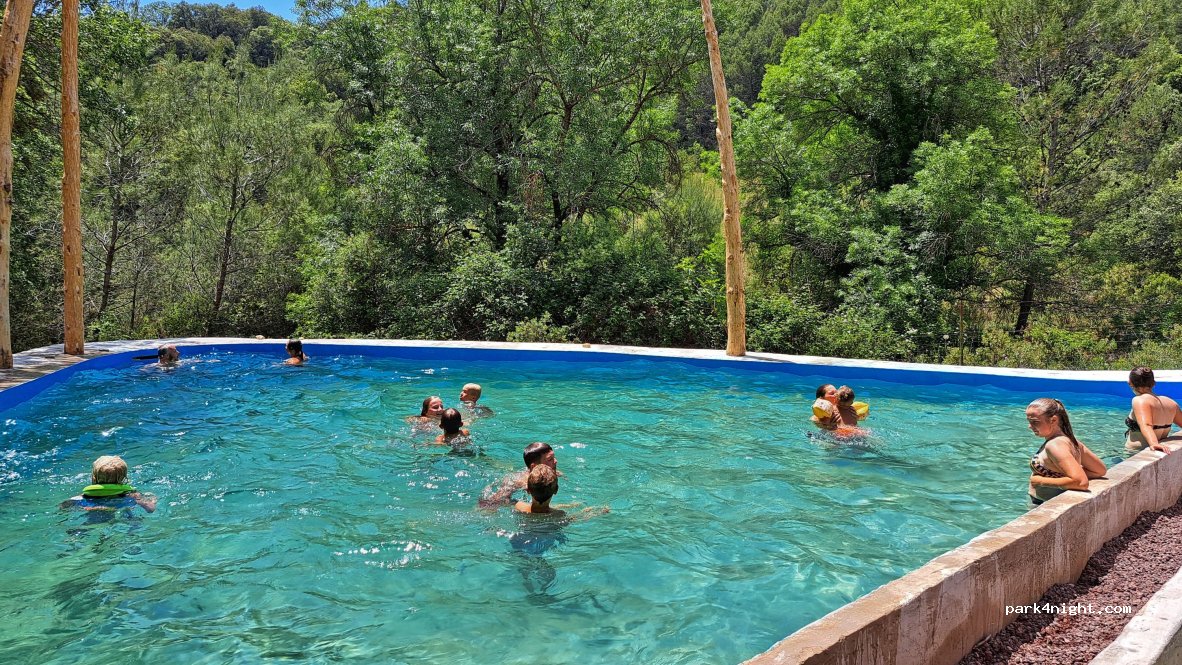 Palomera — foto 2
