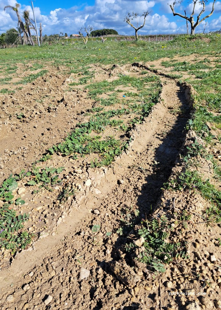 (91025) Marsala - 158/E Contrada Ettore Infersa — foto 4