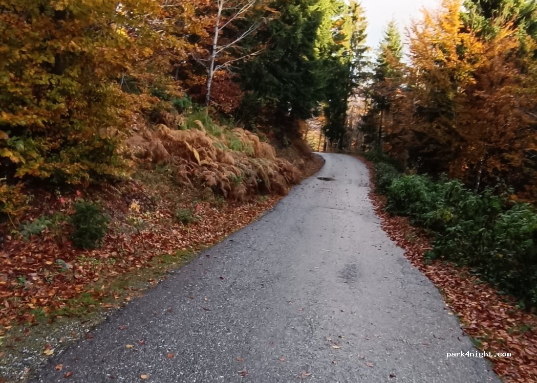 (84320) Trešnjevik - — foto