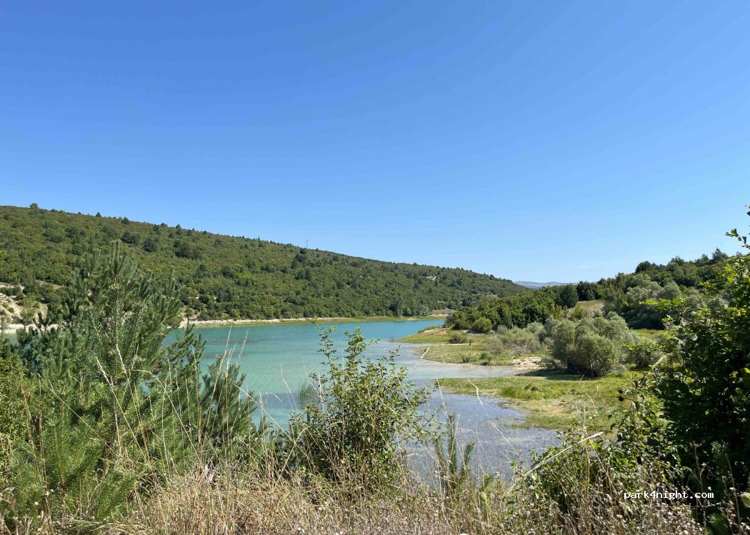 (80209) Miši - — foto 3