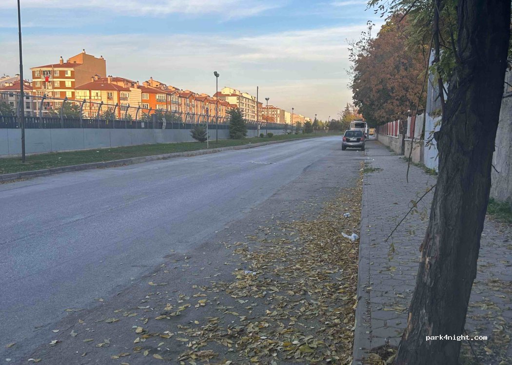 (26120) Şeker - 7 Ihlamur Ağacı Sokak — foto 2