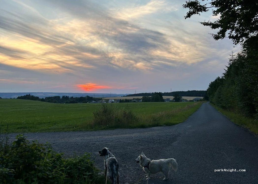 (568 02) Kamenná Horka - — foto 4