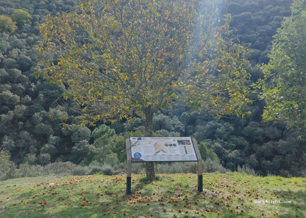 (37532) Monsagro - — foto 2