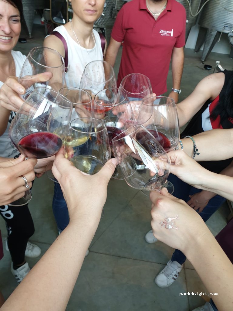 Zinzani winery — foto 3