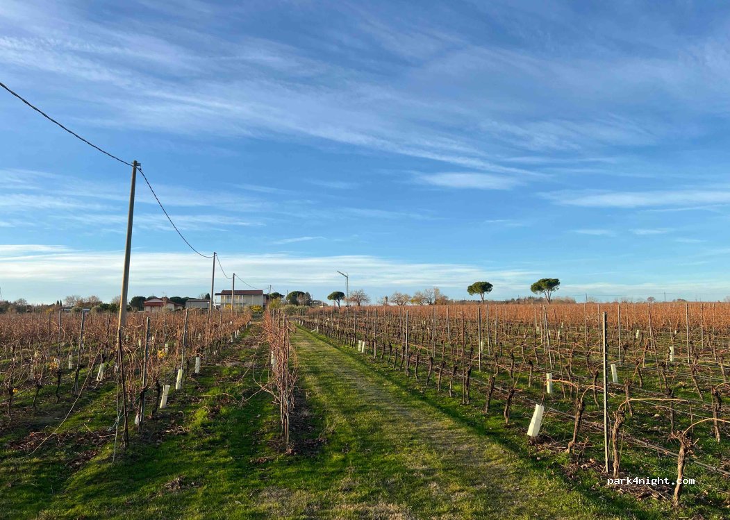 Zinzani winery — foto 5