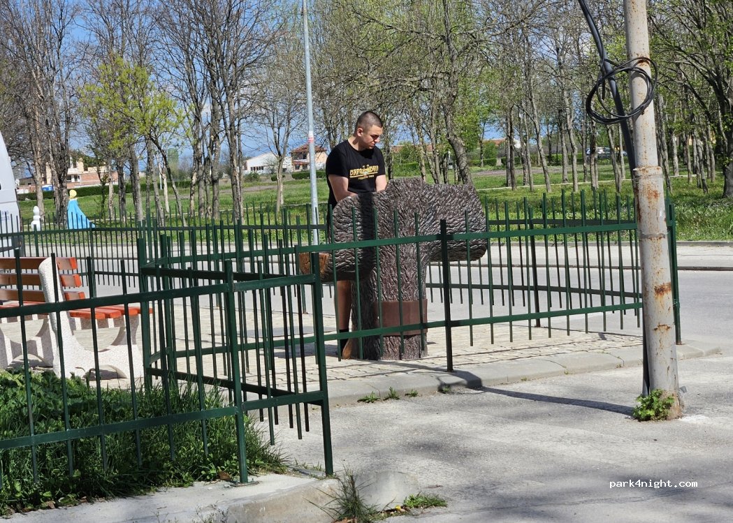 (4151) Rakovski - улица Г. С. Раковски — foto 4