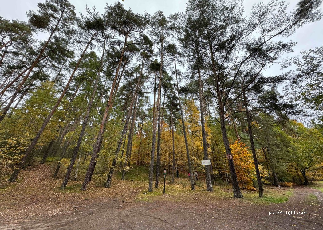 (294 02) Branžež - Unnamed road — foto