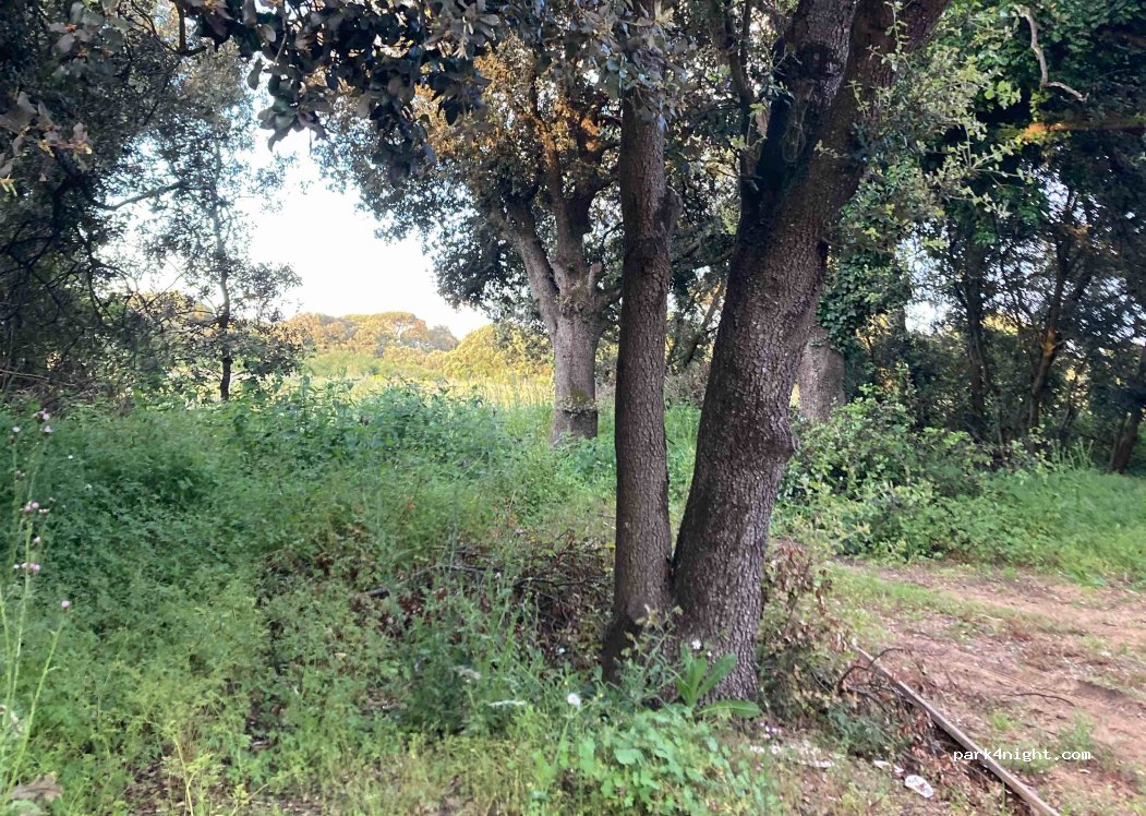 (17310) Saint-Pierre-d'Oléron - — foto 2