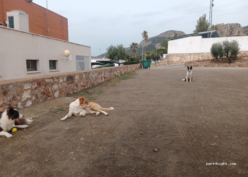 (06228) Hornachos - 14A Calle Tomillares — foto 2