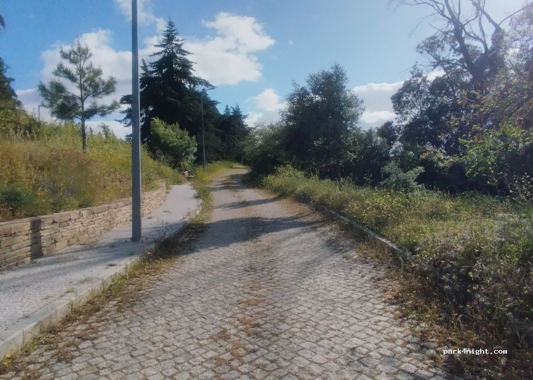(5150) Vila Nova de Foz Côa - Unnamed Road — foto 2