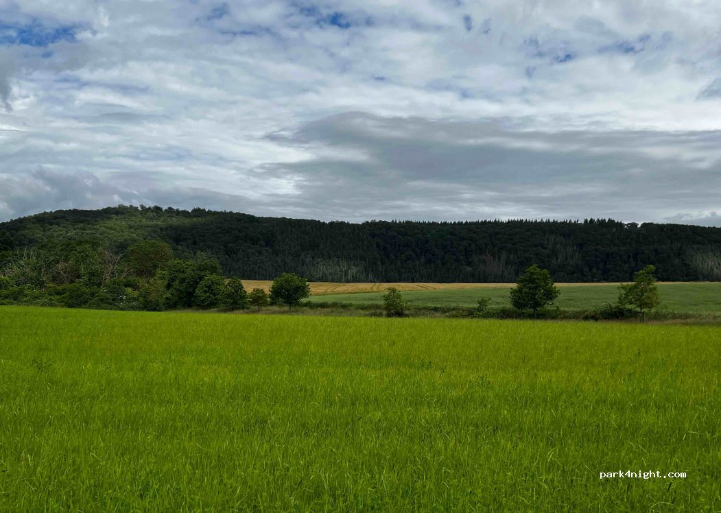(56132) Frücht - Früchter Str. — foto 2