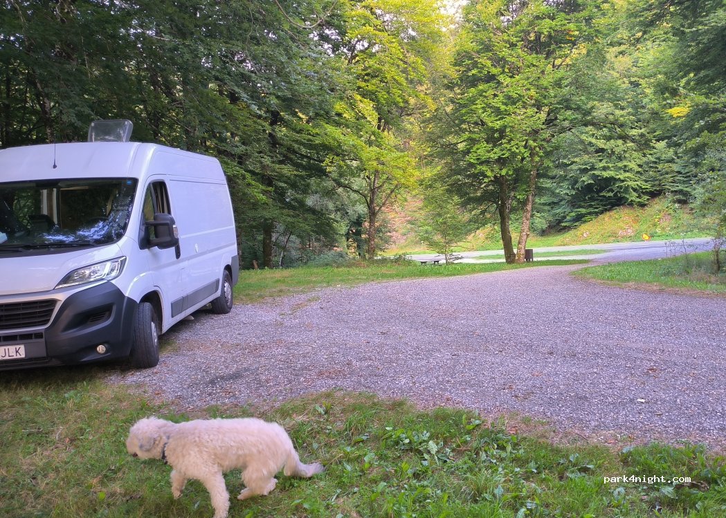 (31796) Almandoz - Carr. de Belate — foto