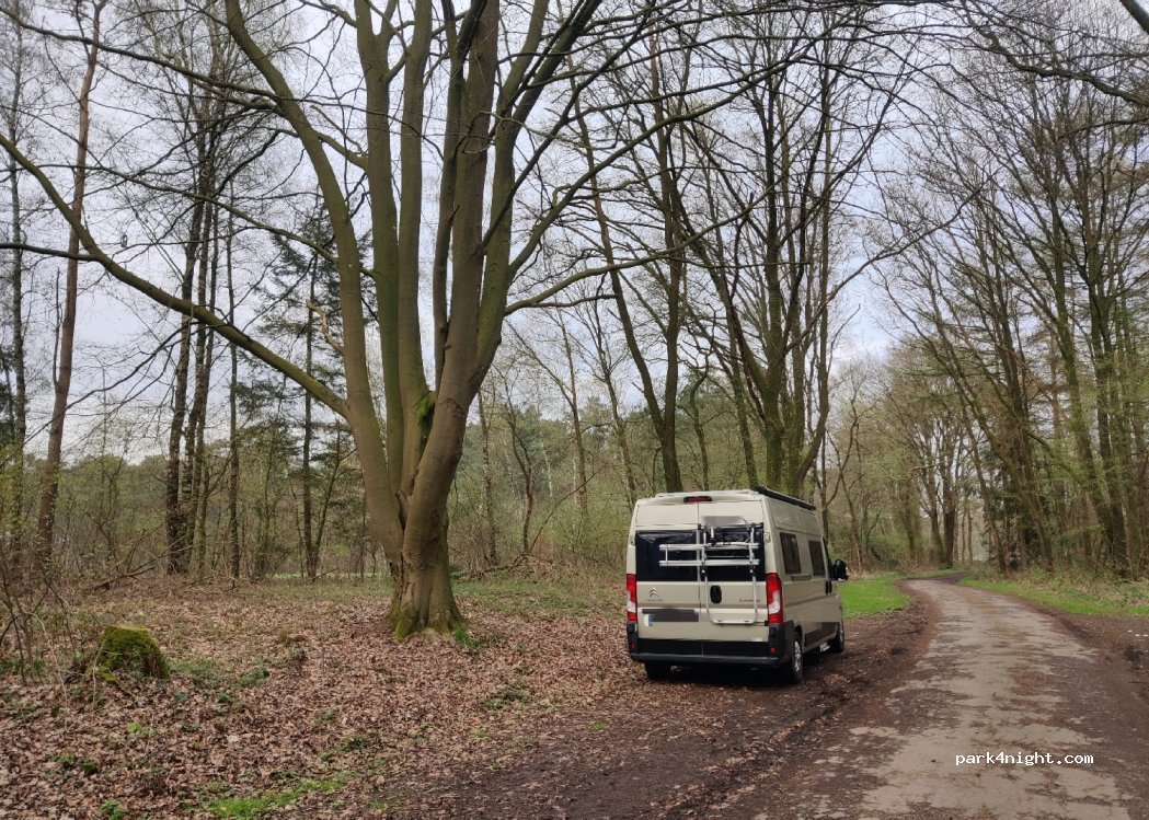 (49838) Lengerich - 2 Sudderweh — foto 4