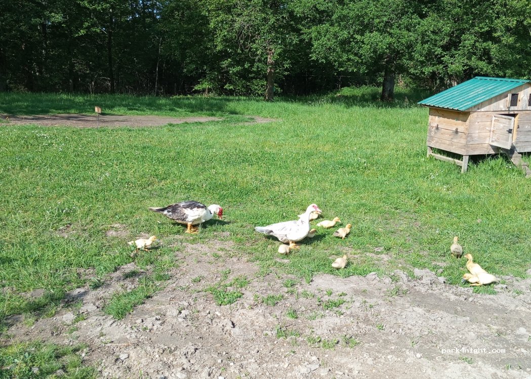 La Ferme des Murs — foto 3
