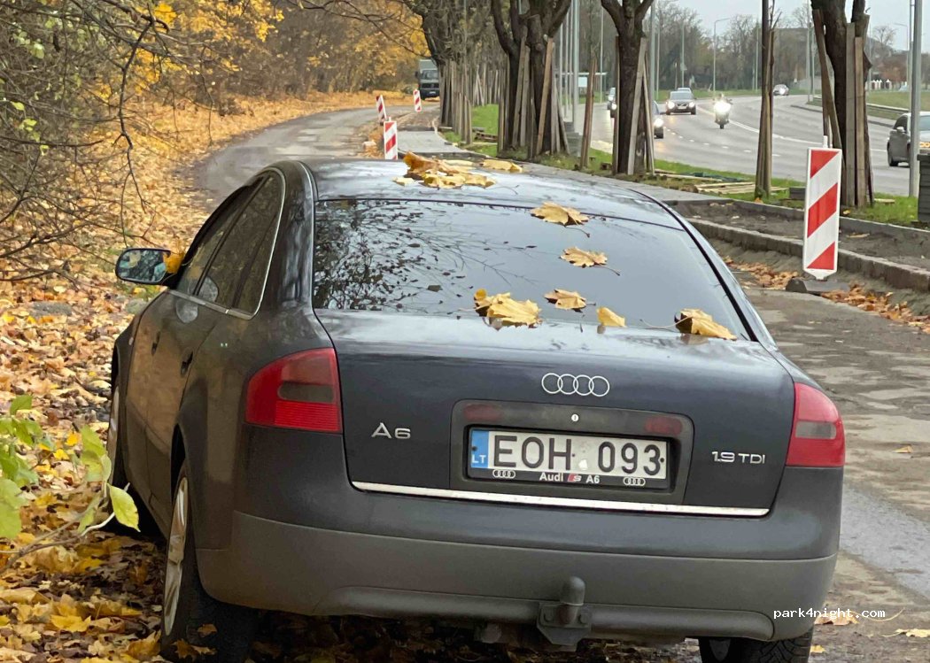(46261) Kaunas - Marvelės g. — foto
