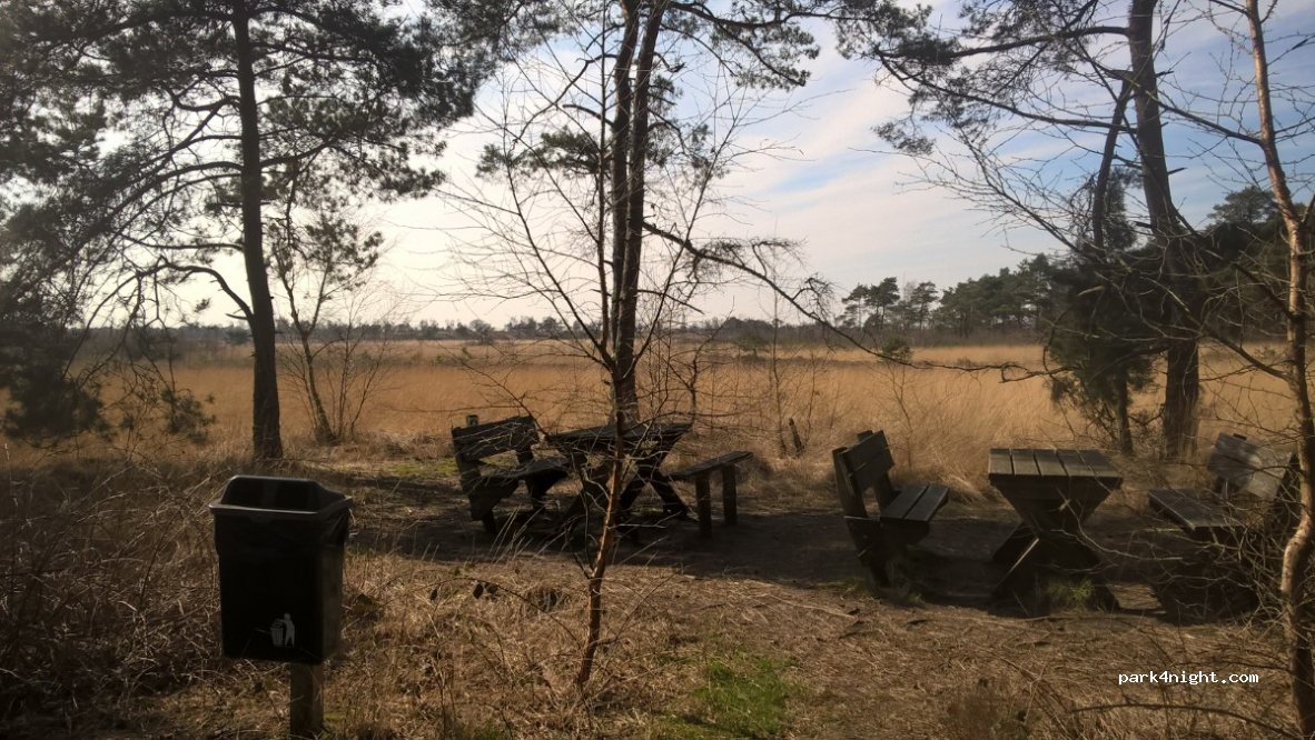 (2920) Kalmthout - Unnamed Road — foto