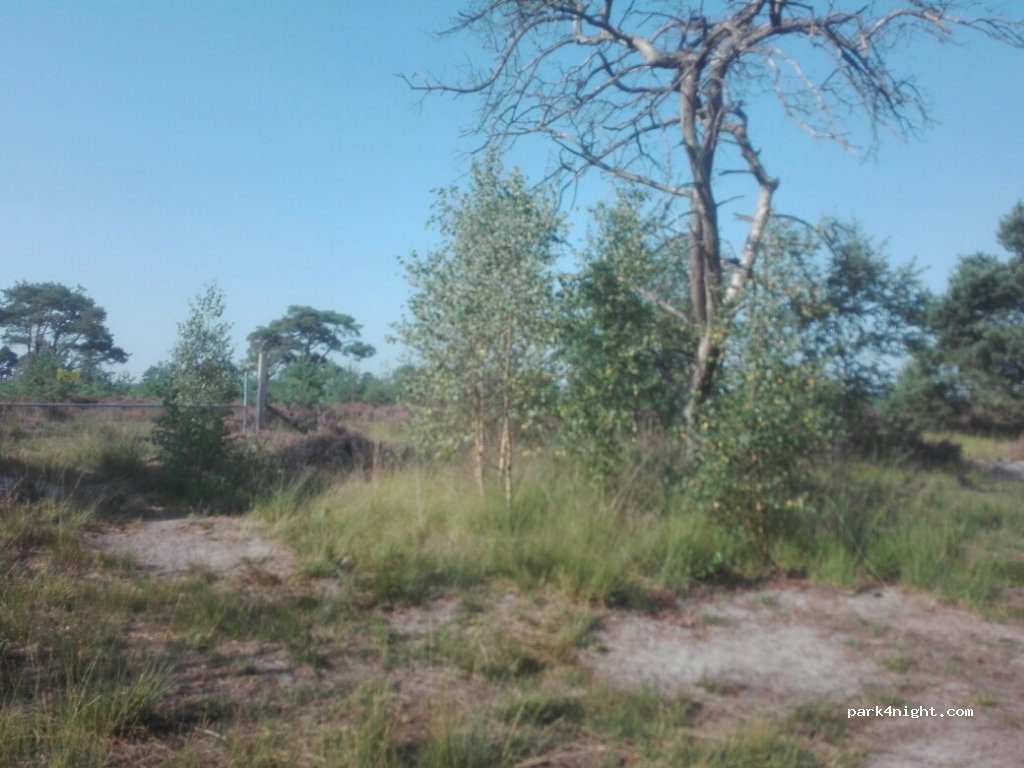 (2920) Kalmthout - Unnamed Road — foto 2