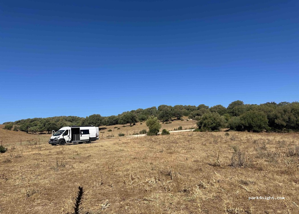 (11180) Alcalá de los Gazules - CA-2112 — foto 5
