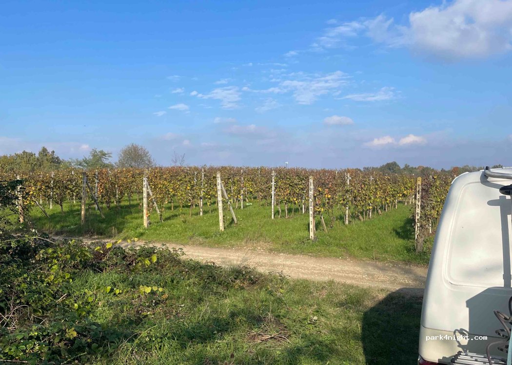(12046) Boschi - — foto 2