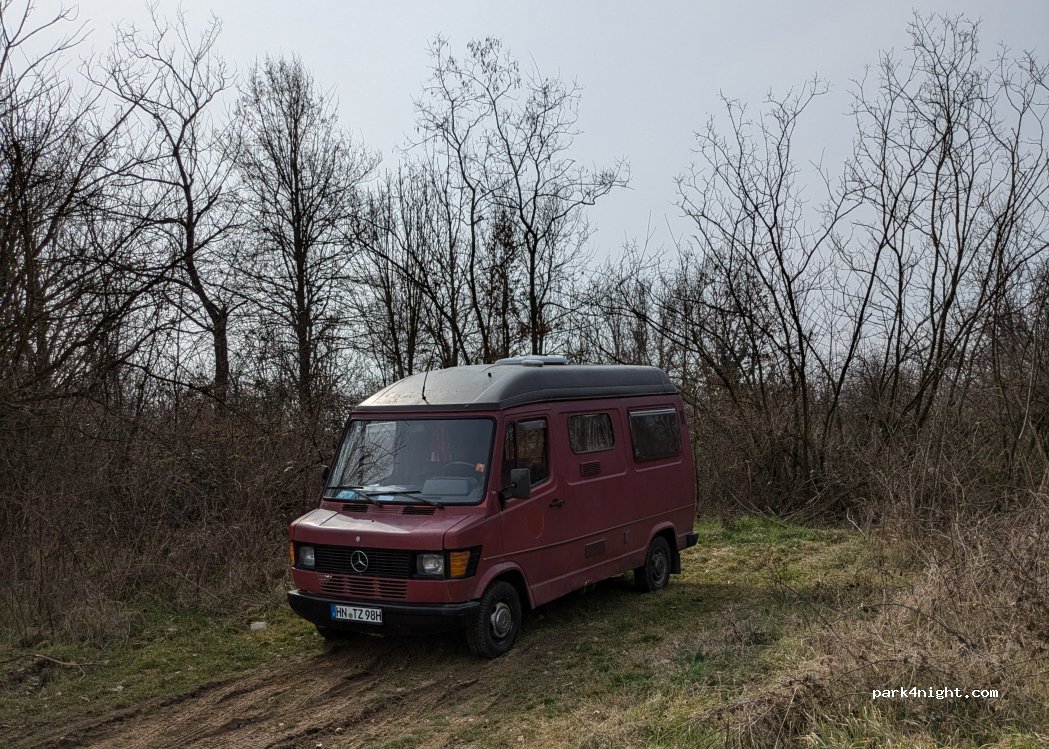 (12046) Boschi - — foto 5