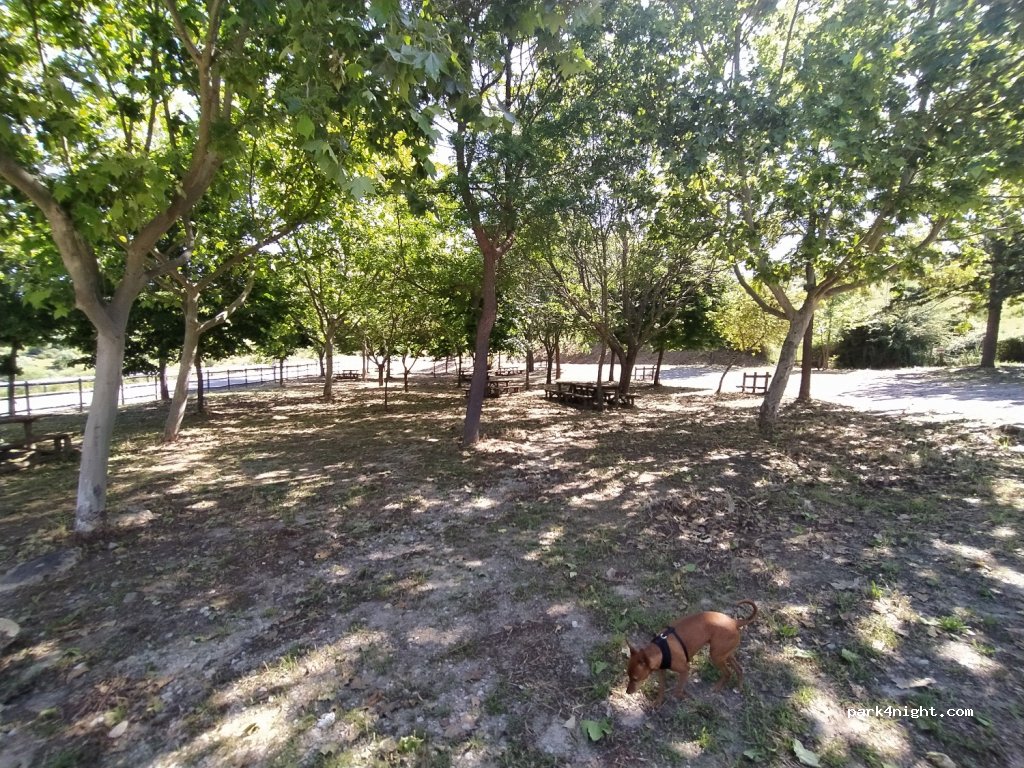 (6060) Idanha a Nova - N354 — foto 4