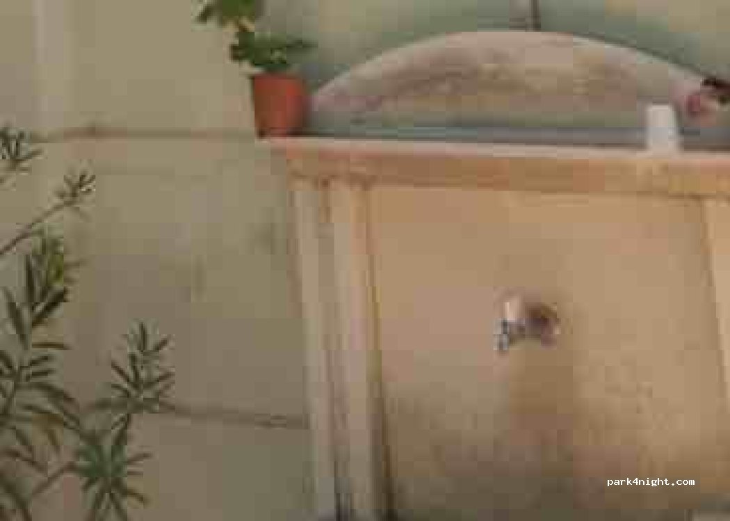 (8180) Primorsko - 28 ulitsa — foto