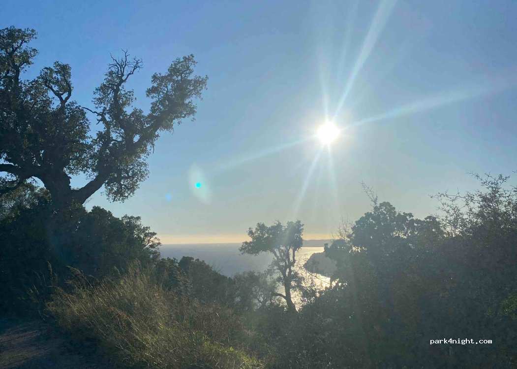 (83820) Rayol-Canadel-sur-Mer - — foto