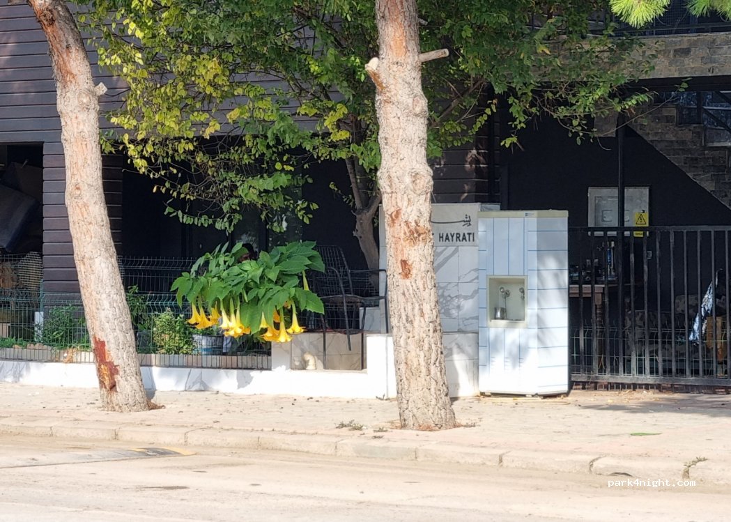 (20240) Honaz - 5 Vali Oğuz Kağan Köksal Caddesi — foto 2