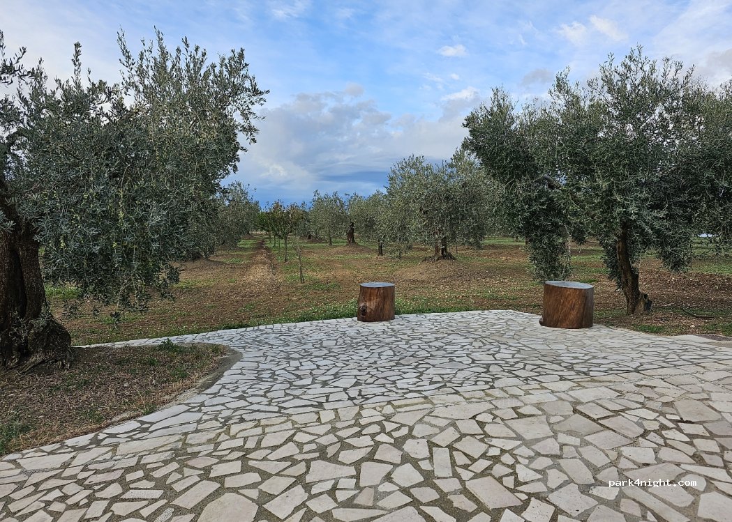 Olio Extravergine di Oliva Biologico — foto 2