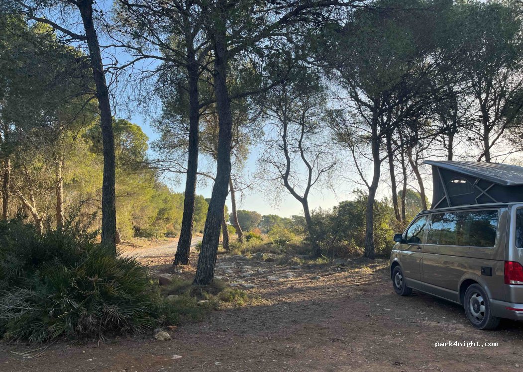 (46500) Sagunto - 116A Plaça Numero 15 — foto 3