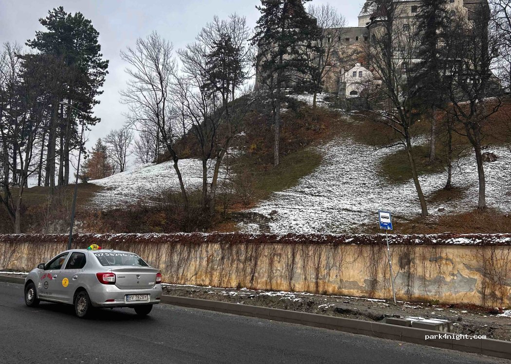 (507025) Bran - nr.139A Strada General Traian Moșoiu — foto 2
