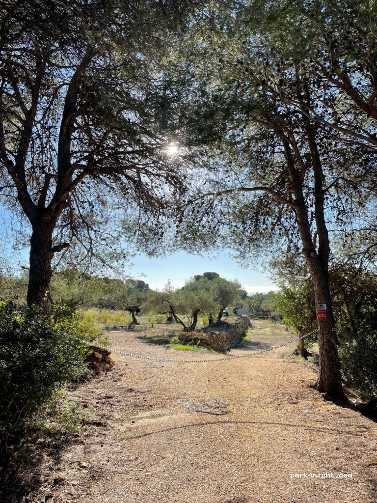 Finca Isabel — foto