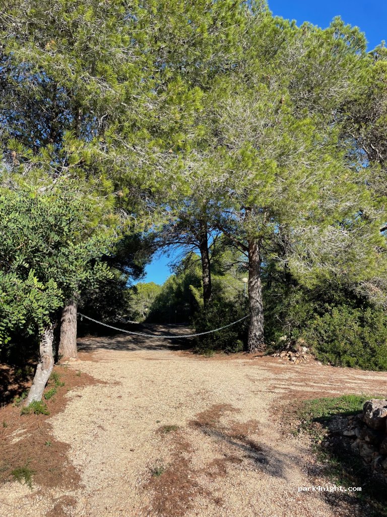 Finca Isabel — foto 2