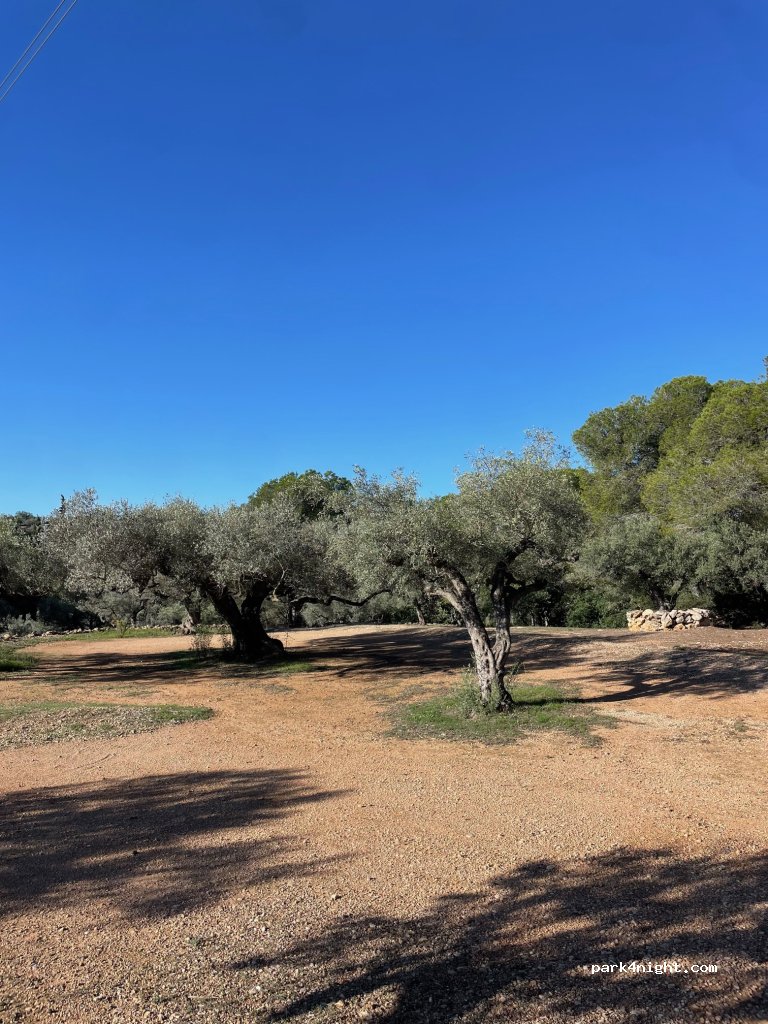 Finca Isabel — foto 3