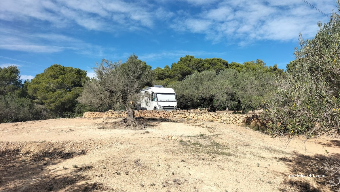 Finca Isabel — foto 5