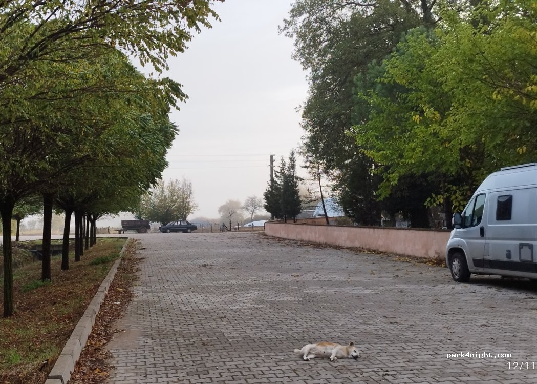 (17550) Yenice - 30 Mareşal Fevzi Çakmak Caddesi — foto