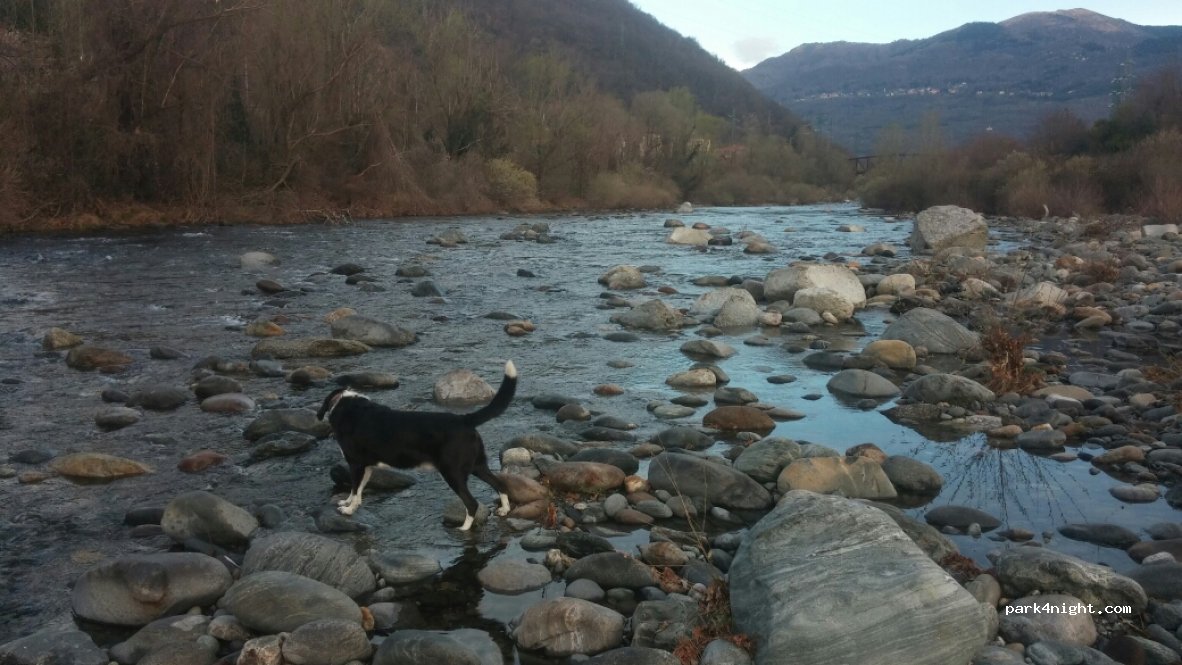 (28922) Pallanza - 12-18 Via Brigata Valgrande Martire — foto 2