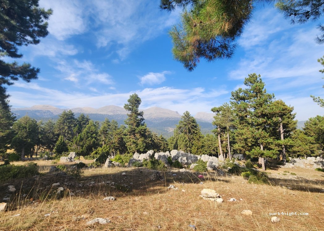 (33580) Çamlıyayla - — foto
