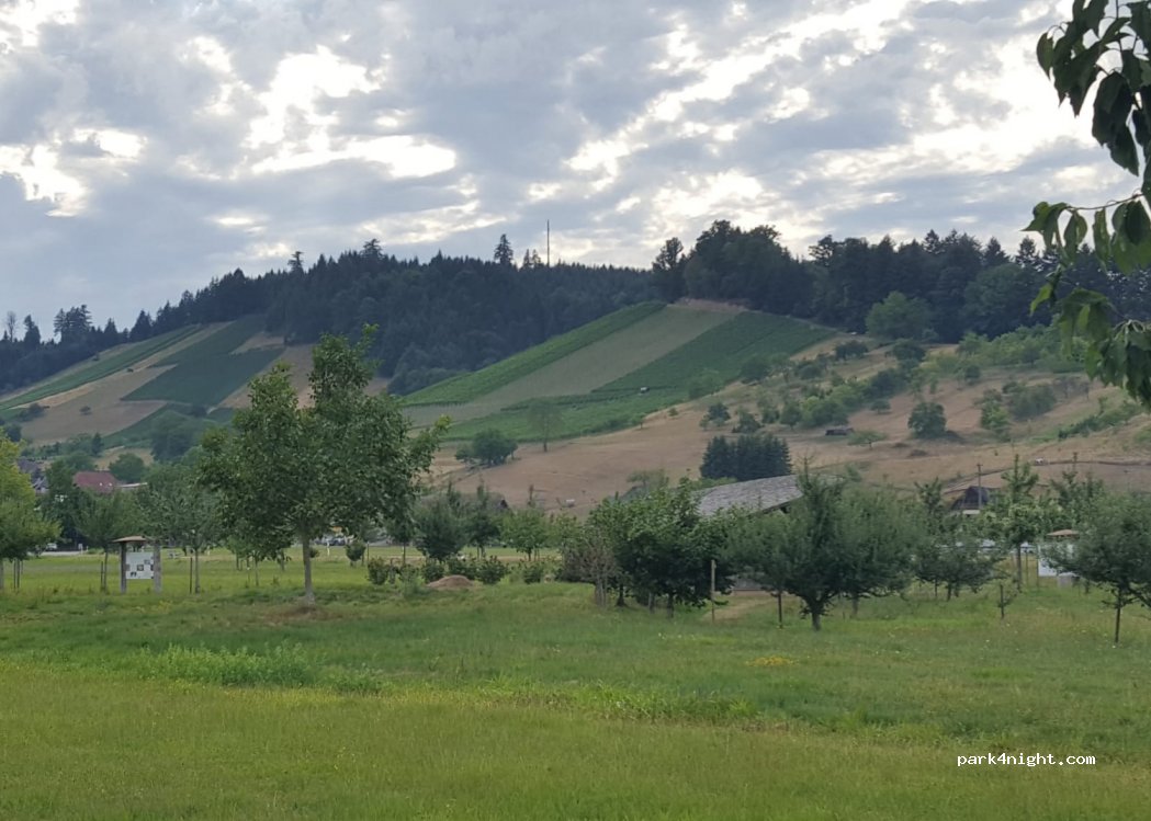 Distillery & Winery Wild — foto 3