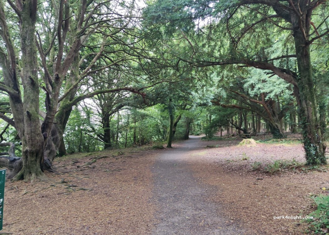 (F91 Y820) Hazelwood Demesne - Unnamed Road — foto 4