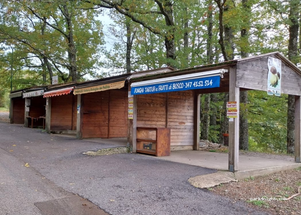 (85030) San Severino lucano - SP4 — foto 2