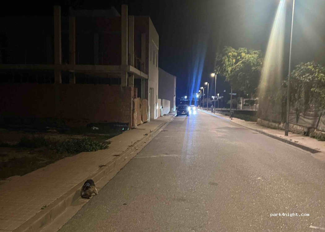 (41740) Lebrija - 9 Calle Valencia — foto 2