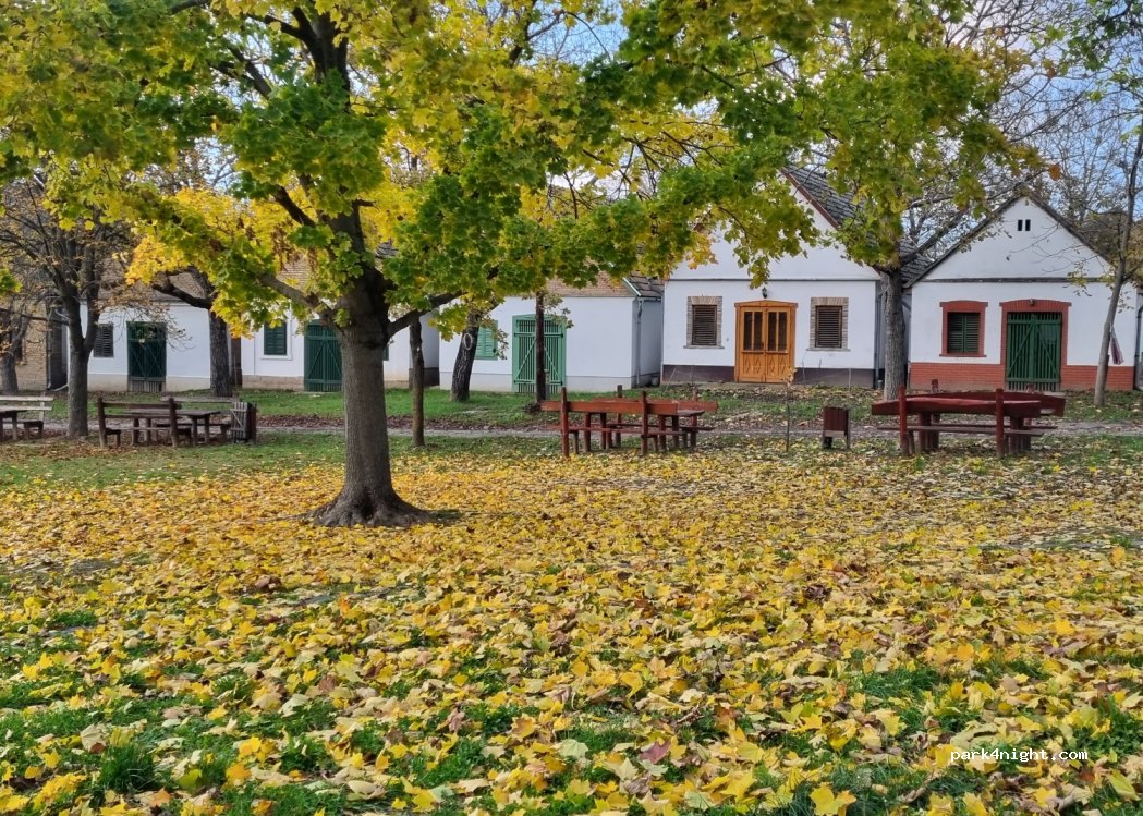 (7045) Györköny - Petőfi Sándor utca — foto 3