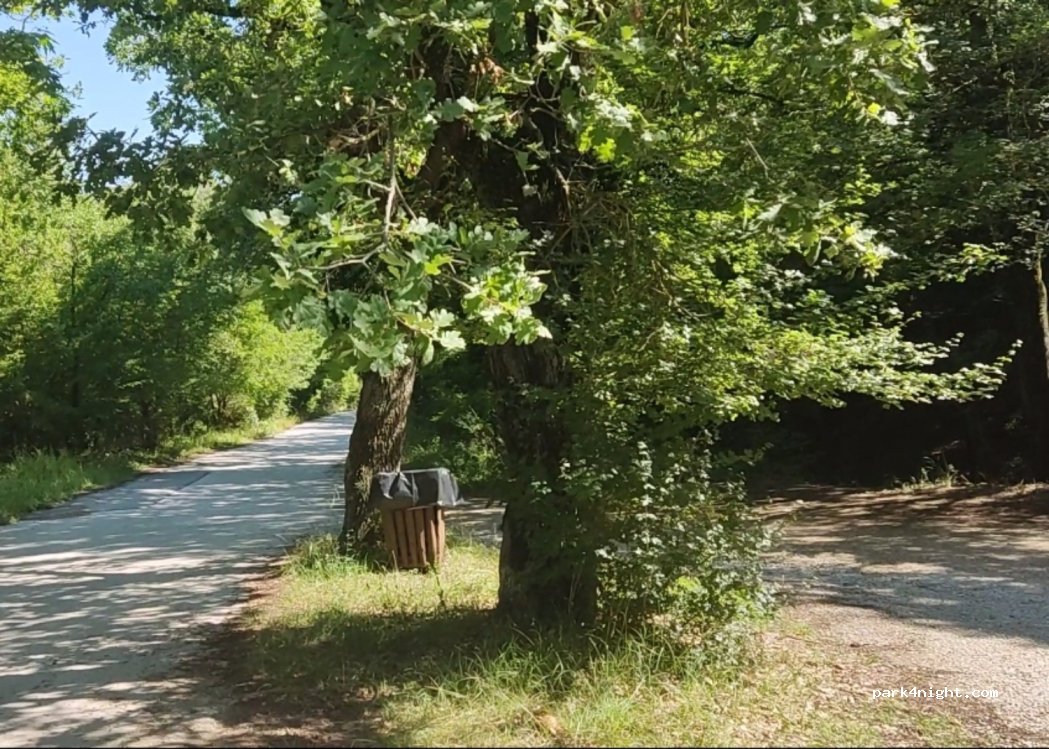 (570 10) Chortiatis - Unnamed Road — foto 2