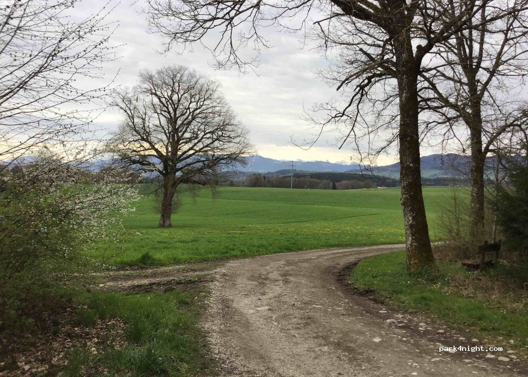 (1691) La Folliaz - 6 Route de Fribourg — foto 4