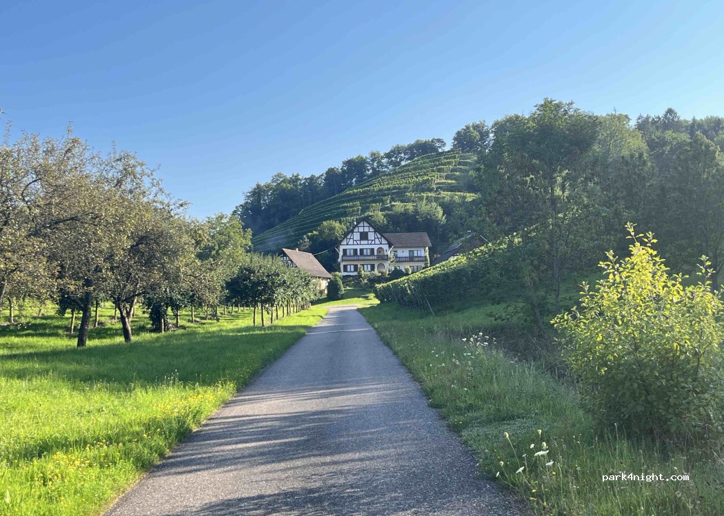Benz Edle Früchtchen — foto 5