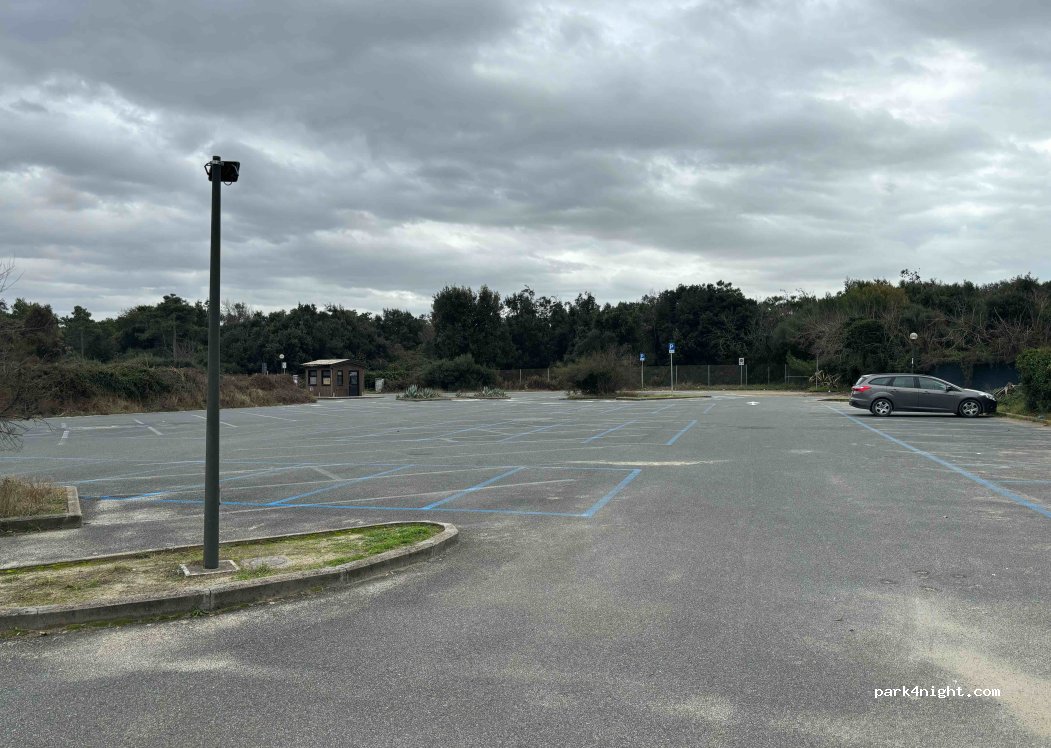 (56128) Tirrenia - 8 Viale del Tirreno — foto 2