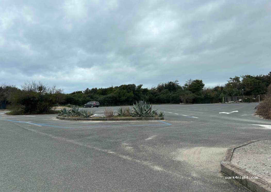 (56128) Tirrenia - 8 Viale del Tirreno — foto 4