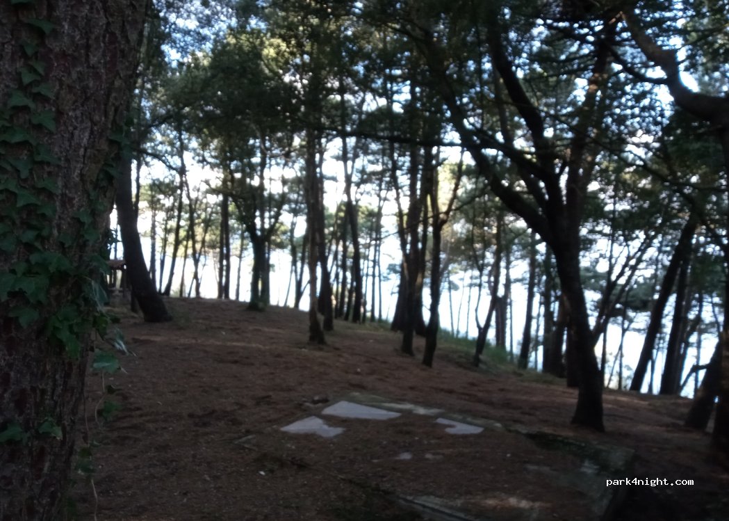 (89015) Palmi - — foto 2