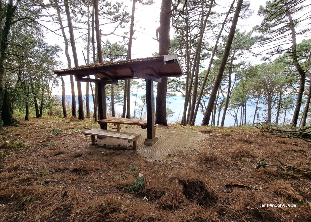 (89015) Palmi - — foto 3